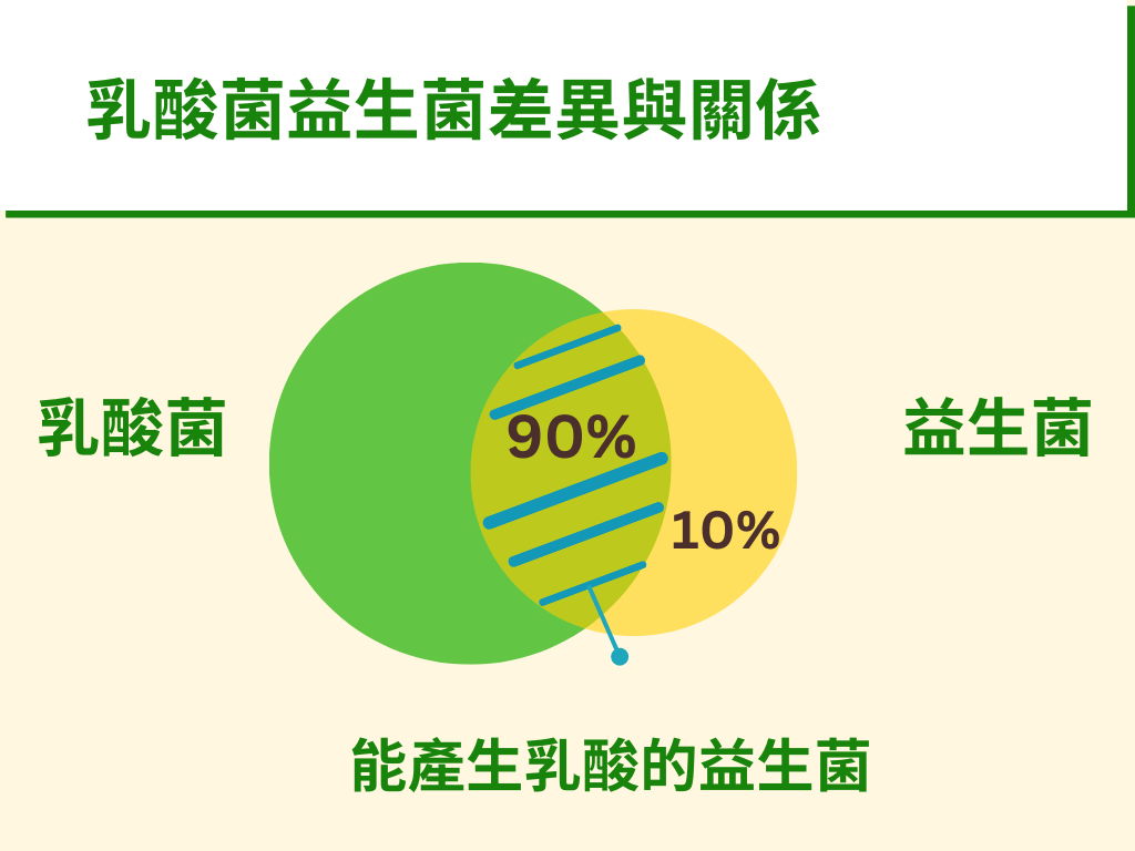 乳酸菌益生菌關係圖